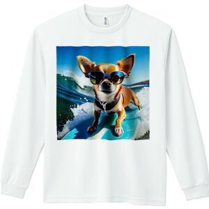 TVc lԗp Y Ht vg W[ AEghA JWA 킢 t@ TOX ` T[t{[h C g