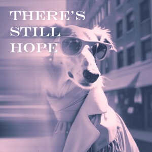 TOX T[L XJ[t X NbVJo[ 45×45cm Aj}   NbV{̕t ` t@