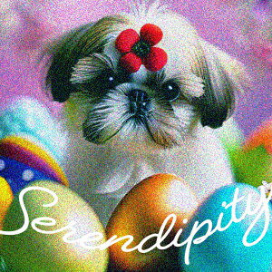  V[Y[ Jtȗ eLXg sN̔wi NbVJo[ 45×45cm Aj}   NbV{̕t ` t@