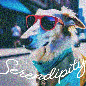 TOX ̑ XJ[t X  Kl NbVJo[ 45×45cm Aj}  NbV{̕t ` t@