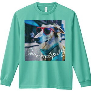 TVc lԗp Y Ht vg W[ AEghA JWA 킢 t@ TOX ̑ XJ[t X  Kl