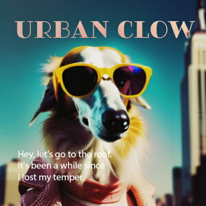 TOX {]C XJ[t    NbVJo[ 45×45cm Aj}   NbV{̕t ` t@