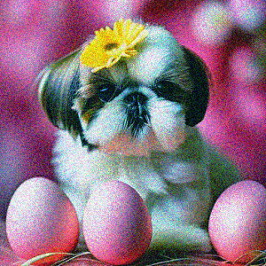    sN NbVJo[ 45×45cm Aj}   NbV{̕t ` t@