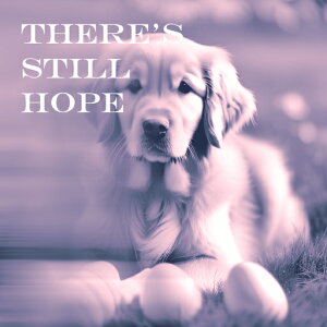 ��] �S�[���f�����g���o�[ ���� �� ���� ���C �N�b�V�����J�o�[ 45×45cm �A�j�}���� ������� �N�b�V�����{�̕t�� �����` ���t�@��