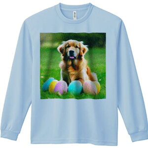 TVc lԗp Y Ht vg W[ AEghA JWA 킢 t@ Ő S[fgo[ C[X^[ FƂǂ̗ ΂̔wi