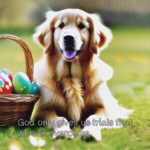 oXPbg S[fgo[  Ő NbVJo[ 45×45cm Aj}   NbV{̕t ` t@