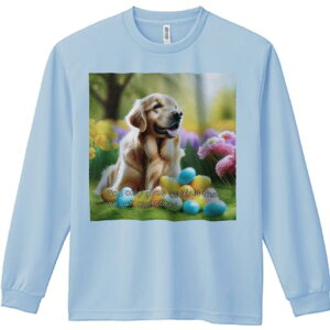 TVc lԗp Y Ht vg W[ AEghA JWA 킢 t@  S[fgo[ Jtȗ R 