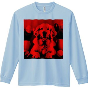 TVc lԗp Y Ht vg W[ AEghA JWA 킢 t@ ^}S S[fgo[ A 