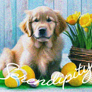 `[bv S[fgo[ oXPbg{[ ؐ̔wi  NbVJo[ 45×45cm Aj}   NbV{̕t ` t@