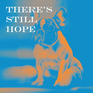 ��] �t�����`�u���h�b�O �� �� ���b�Z�[�W �� �N�b�V�����J�o�[ 45×45cm �A�j�}���� ������� ���� �N�b�V�����{�̕t�� �����` ���t�@��