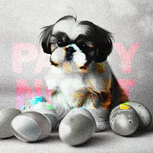 p[eB[ V[Y[  X y  NbVJo[ 45×45cm Aj}   NbV{̕t ` t@