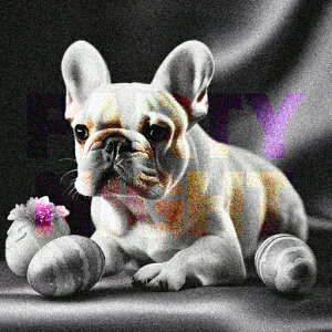  t`uhbO ʂ Ă NbVJo[ 45×45cm Aj}   NbV{̕t ` t@