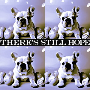 ] t`uhbO Jt  NbVJo[ 45×45cm Aj}   NbV{̕t ` t@