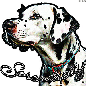  _VA  wi NbVJo[ 45×45cm Aj}   NbV{̕t ` t@