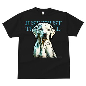 T�V���c �����Y �L�b�Y ���t�@�� ���� �t�� ���� �v�����g �J�W���A�� ���킢�� �l�ԗp �t�B�b�g�l�X �_���X JUST �_�����V�A�� TRUST THE CALL