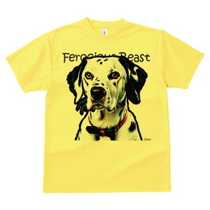 TVc Y LbY t@  t  vg JWA 킢 lԗp tBbglX _X lN^C _VA Ԃ