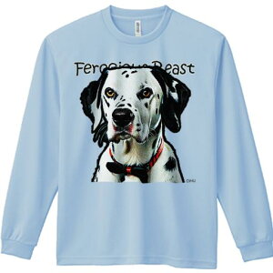 TVc lԗp Y Ht vg W[ AEghA JWA 킢 t@ lN^C _VA Ԃ