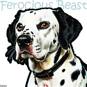  _VA NbVJo[ 45×45cm Aj}   NbV{̕t ` t@