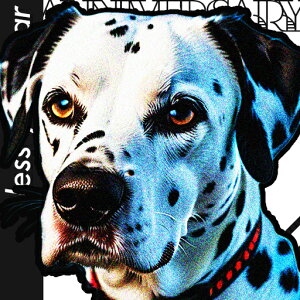  _VA ܂͗l ƍ̌ NbVJo[ 45×45cm Aj}   NbV{̕t ` t@