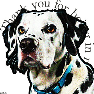 青い首輪 ダルメシアン スポット模様 感謝のメッセージ クッションカバー 45×45cm アニマル柄 おしゃれ 可愛い クッション本体付き 正方形 犬ファン