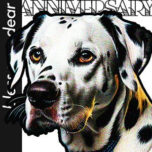 uXgv[g _VA  NbVJo[ 45×45cm Aj}   NbV{̕t ` t@