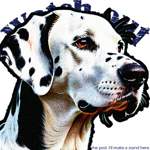 �e�L�X�g �_�����V�A�� �N�b�V�����J�o�[ 45×45cm �A�j�}���� ������� ���� �N�b�V�����{�̕t�� �����` ���t�@��