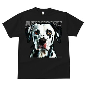 T�V���c �����Y �L�b�Y ���t�@�� ���� �t�� ���� �v�����g �J�W���A�� ���킢�� �l�ԗp �t�B�b�g�l�X �_���X JUST �_�����V�A�� TRUST