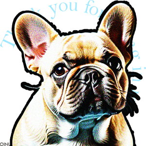 킢 t`uhbO ybg CXg G NbVJo[ 45×45cm Aj}   NbV{̕t ` t@