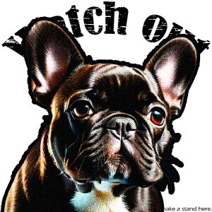 v t`uhbO X^[ Zwi fUC NbVJo[ 45×45cm Aj}   NbV{̕t ` t@