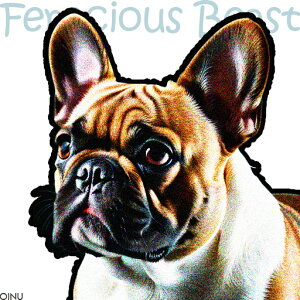 A[g t`uhbO Jt  NbVJo[ 45×45cm Aj}   NbV{̕t ` t@