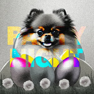 p[eB[iCg ` D  Ő NbVJo[ 45×45cm Aj}   NbV{̕t ` t@