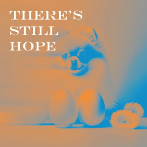 ʂ |jA ۂ NbVJo[ 45×45cm Aj}   NbV{̕t ` t@