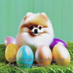 Jtȗ |jA ΂̎Ő NbVJo[ 45×45cm Aj}   NbV{̕t ` t@