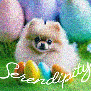 Jtȗ |jA t K^  pXe NbVJo[ 45×45cm Aj}  NbV{̕t ` t@