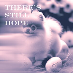  |jA  NbVJo[ 45×45cm Aj}   NbV{̕t ` t@