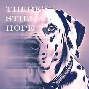 ��] �_�����V�A�� �p�� �|�W�e�B�u �N�b�V�����J�o�[ 45×45cm �A�j�}���� ������� ���� �N�b�V�����{�̕t�� �����` ���t�@��