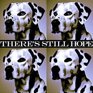 �_�����V�A�� �N�b�V�����J�o�[ 45×45cm �A�j�}���� ������� ���� �N�b�V�����{�̕t�� �����` ���t�@��