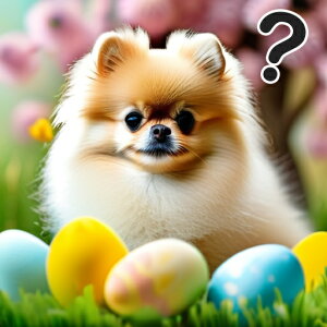  |jA   NbVJo[ 45×45cm Aj}   NbV{̕t ` t@