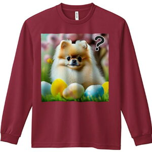 TVc lԗp Y Ht vg W[ AEghA JWA 킢 t@  |jA  