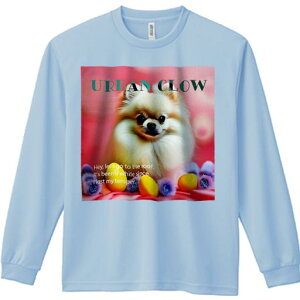 TVc lԗp Y Ht vg W[ AEghA JWA 킢 t@  |jA  