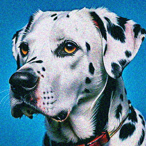 wi _VA  NbVJo[ 45×45cm Aj}   NbV{̕t ` t@