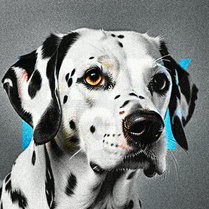 ���ʖ͗l �_�����V�A�� ���������� �N�b�V�����J�o�[ 45×45cm �A�j�}���� ������� ���� �N�b�V�����{�̕t�� �����` ���t�@��