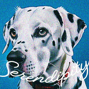 wi _VA Jt   NbVJo[ 45×45cm Aj}   NbV{̕t ` t@