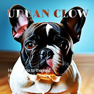  t`uhbO ؐ̏ eLXg NbVJo[ 45×45cm Aj}   NbV{̕t ` t@