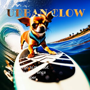 T[t{[h ` g C  NbVJo[ 45×45cm Aj}   NbV{̕t ` t@