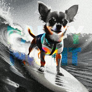 T[t{[h ` T[tB NbVJo[ 45×45cm Aj}   NbV{̕t ` t@