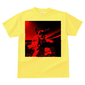 TVc Y LbY t@  t  vg JWA 킢 lԗp tBbglX _X T[tB ` g z C