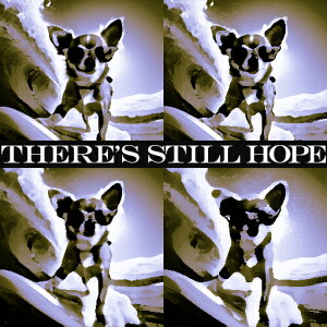 TOX ` T[tB |bvA[g ] NbVJo[ 45×45cm Aj}   NbV{̕t ` t@