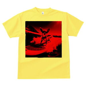 TVc Y LbY t@  t  vg JWA 킢 lԗp tBbglX _X T[tB ` [Ă Kl g