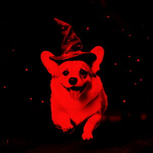 @̖Xq EFVR[M[ nEB   NbVJo[ 45×45cm Aj}   NbV{̕t ` t@